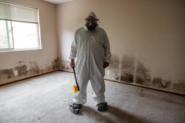 Best Mold Damage Repair  in Tempe, AZ